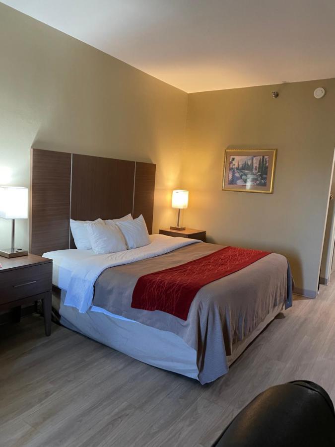 Econo Lodge نيوبورت المظهر الخارجي الصورة