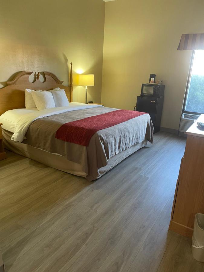 Econo Lodge نيوبورت المظهر الخارجي الصورة